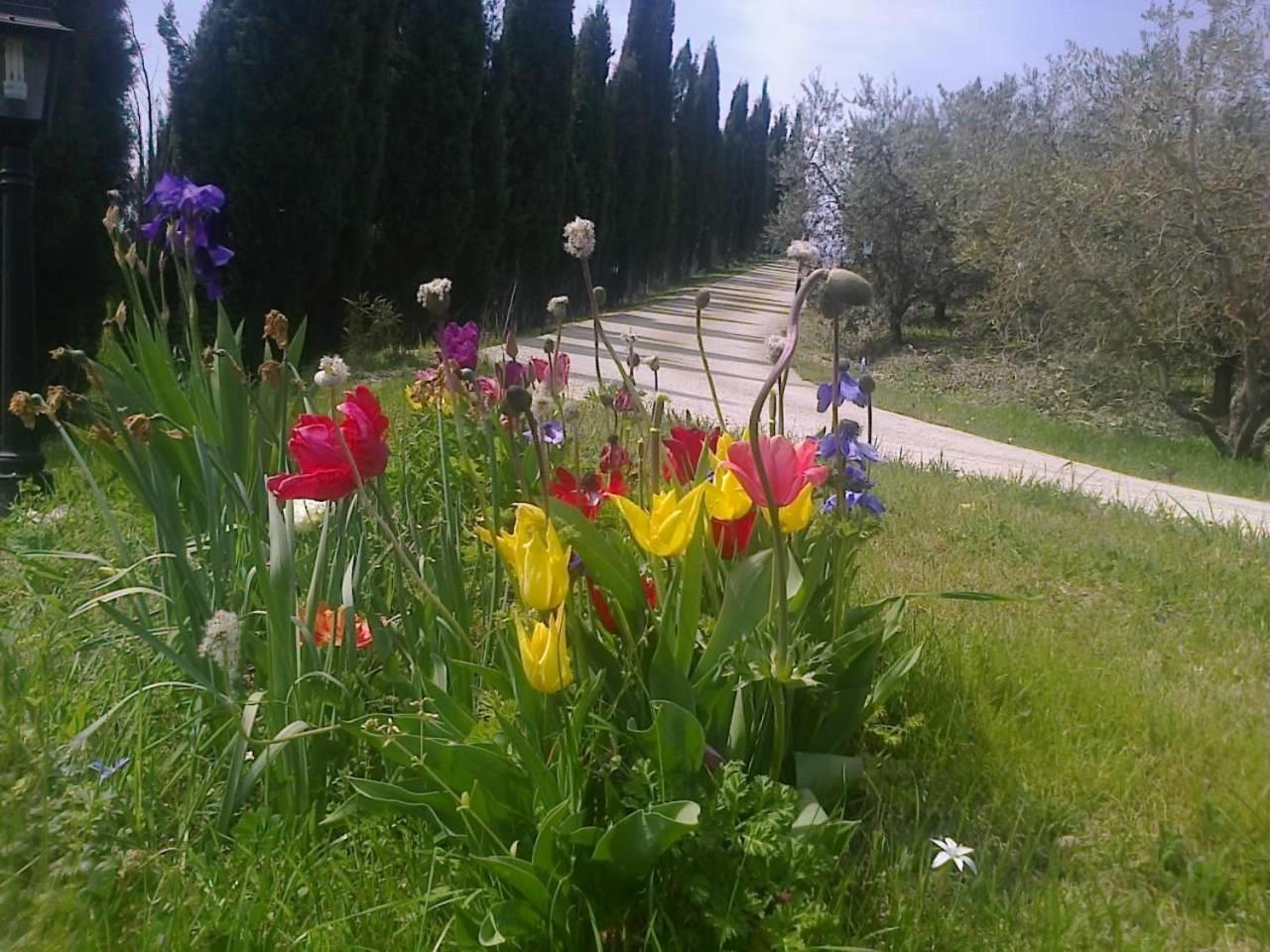 Residence Ai Campi Da Golf Saturnia Kültér fotó