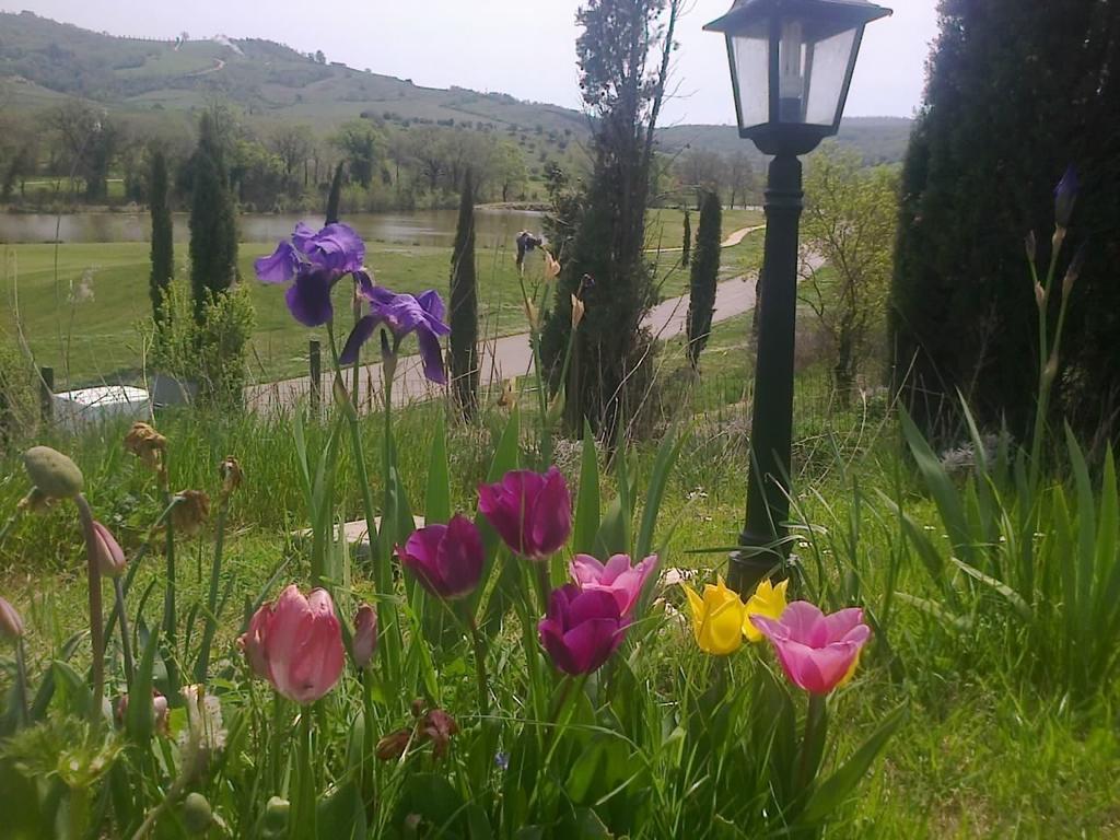 Residence Ai Campi Da Golf Saturnia Kültér fotó