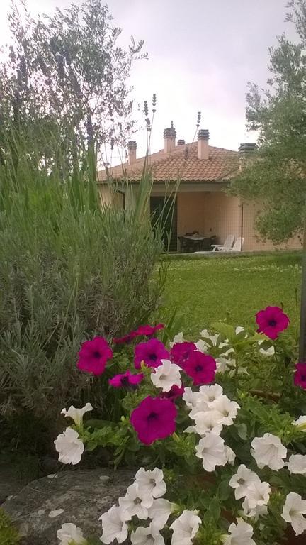 Residence Ai Campi Da Golf Saturnia Kültér fotó