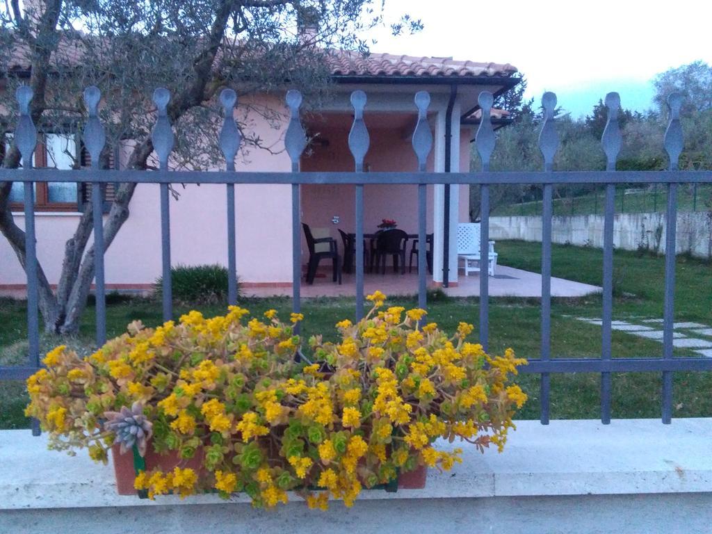 Residence Ai Campi Da Golf Saturnia Kültér fotó
