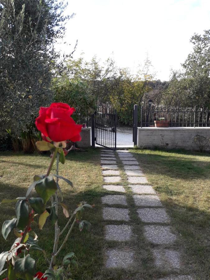 Residence Ai Campi Da Golf Saturnia Kültér fotó