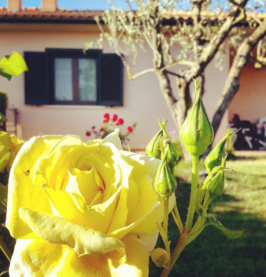 Residence Ai Campi Da Golf Saturnia Kültér fotó